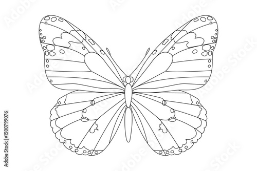 vector realistic butterfly. Cartoon black and white clip art isolated on transparent background. Hand drown design element.