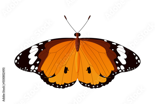 vector realistic butterfly. Cartoon color volume clip art isolated on transparent background. Hand drown design element.