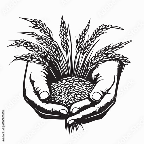 Farmer holding rice plant in his palm Image vector isolated on white background.