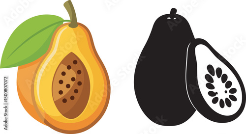 vector illustration of pear fruit