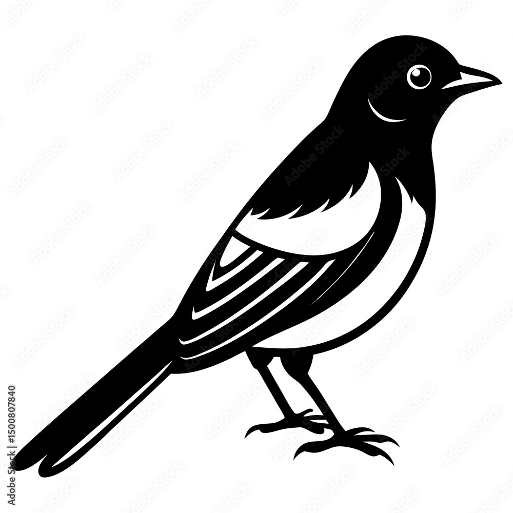 Obraz premium bird on a branch