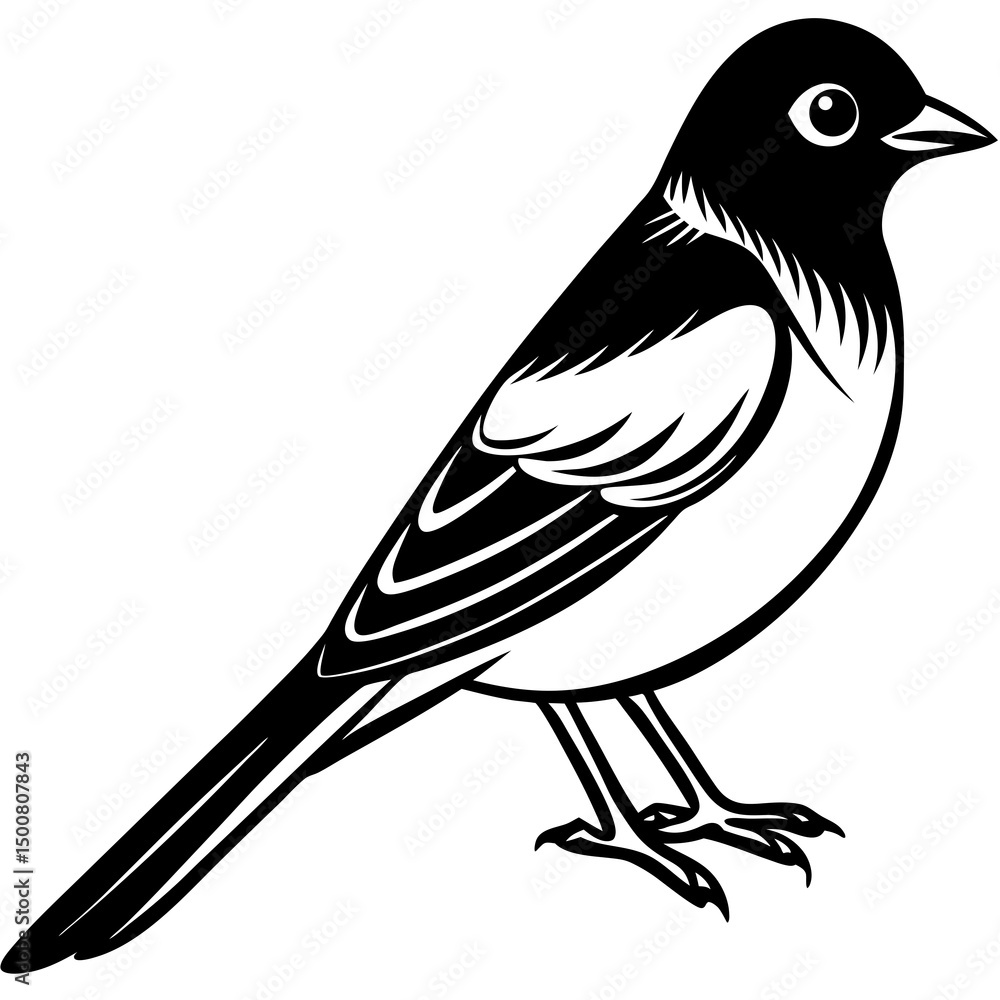 Obraz premium bird on a branch