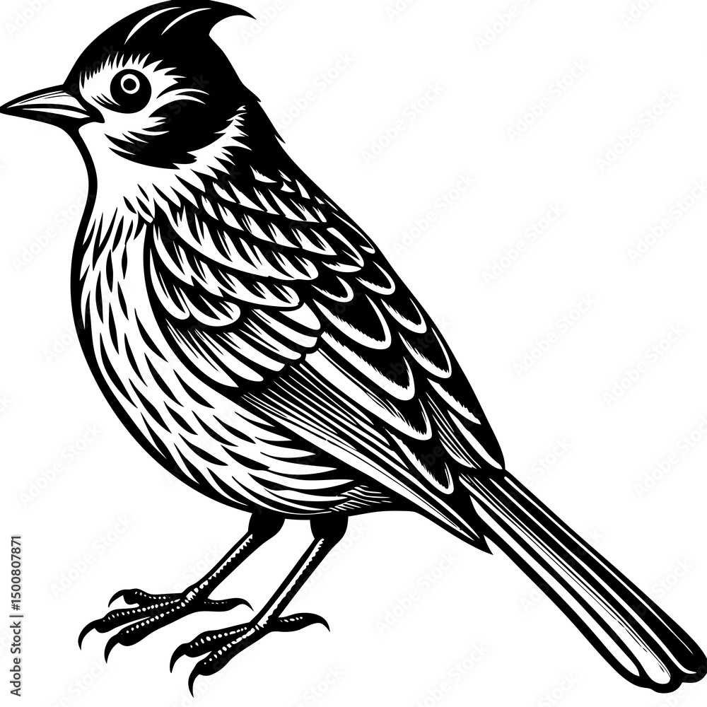 Obraz premium bird on a branch