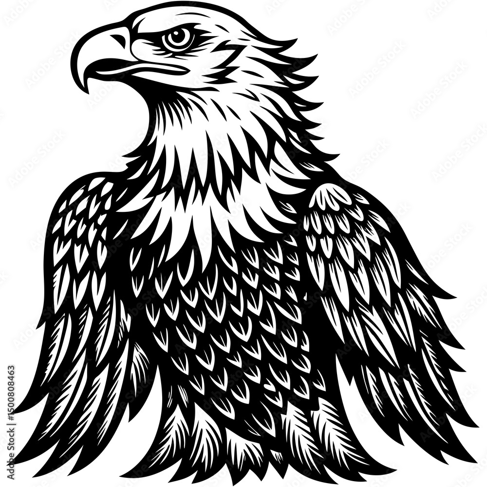 Obraz premium eagle vector illustration