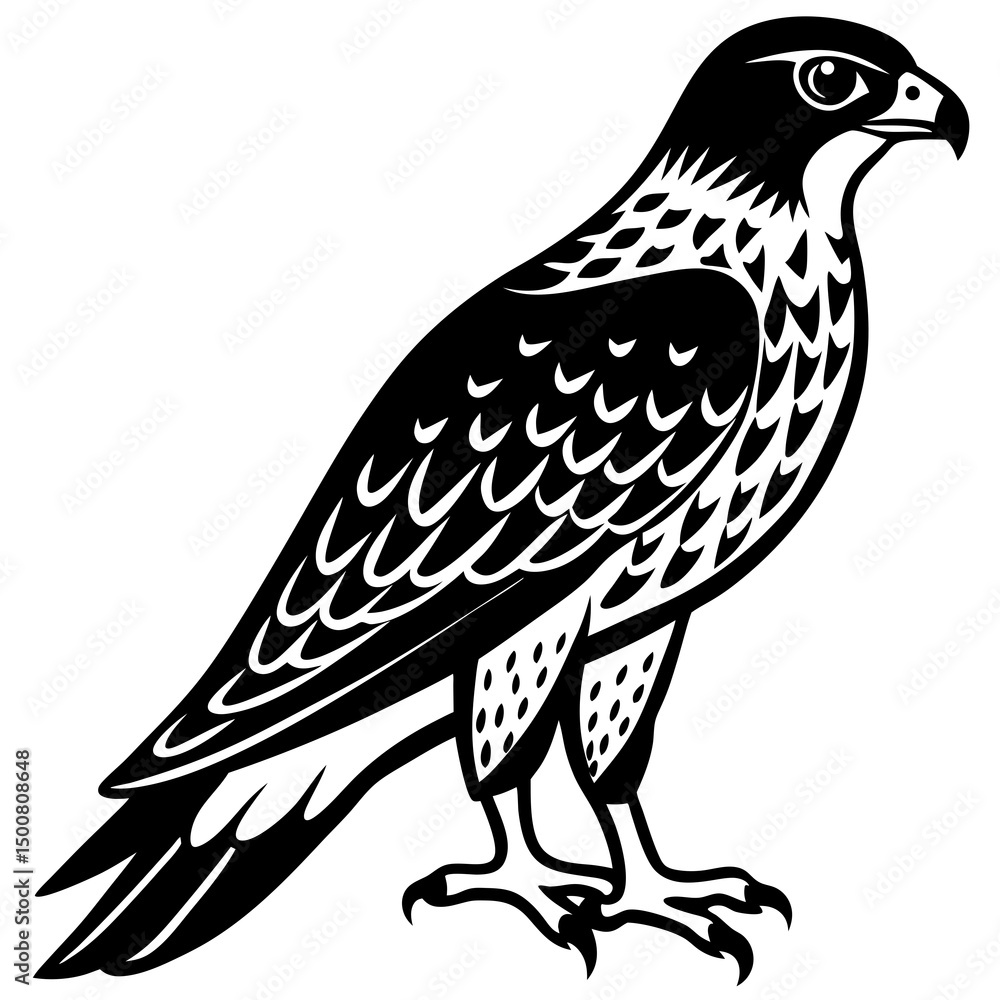 Fototapeta premium bird of prey