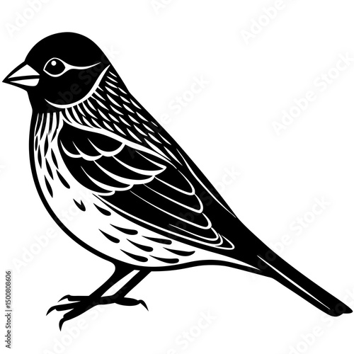 bird on a branch