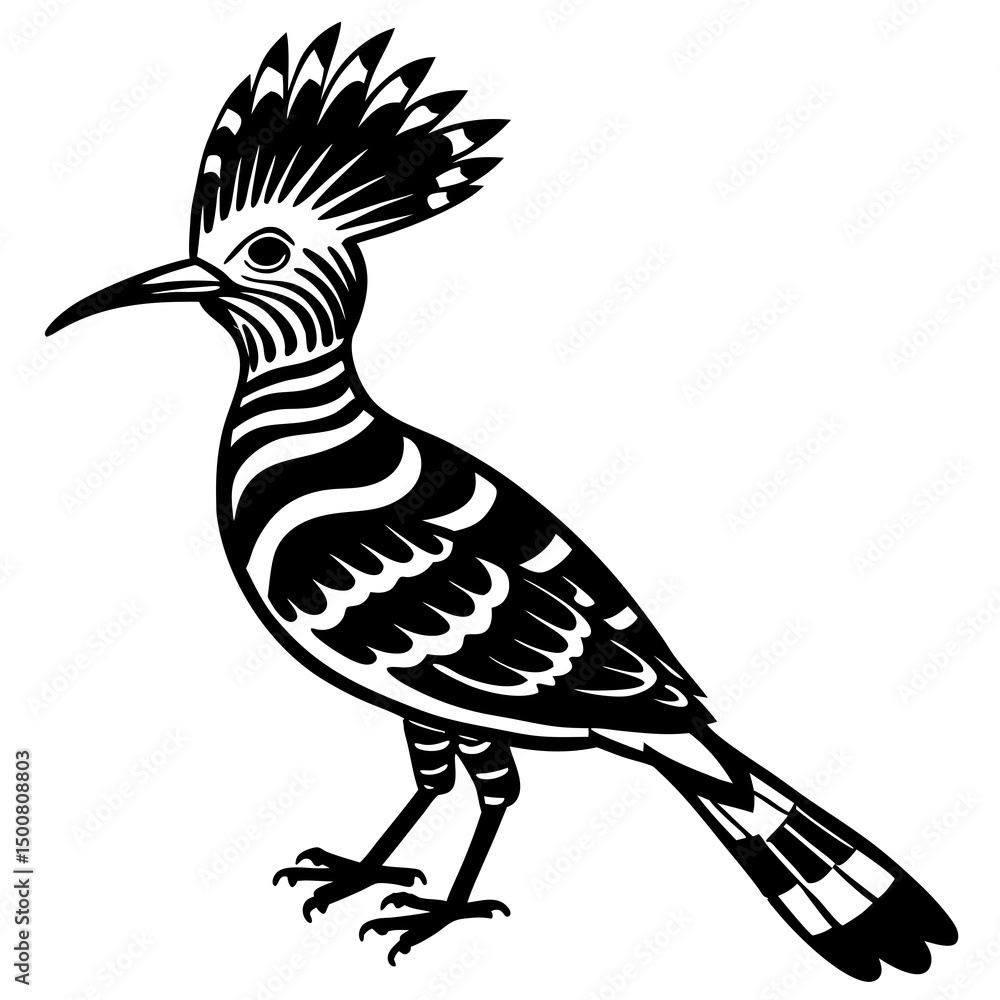 Obraz premium bird of paradise