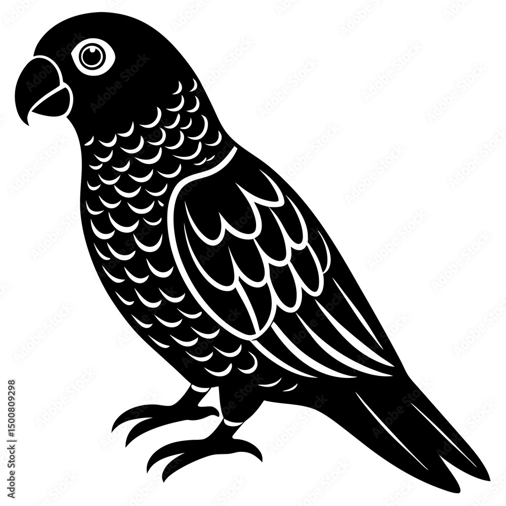 Fototapeta premium bird of prey