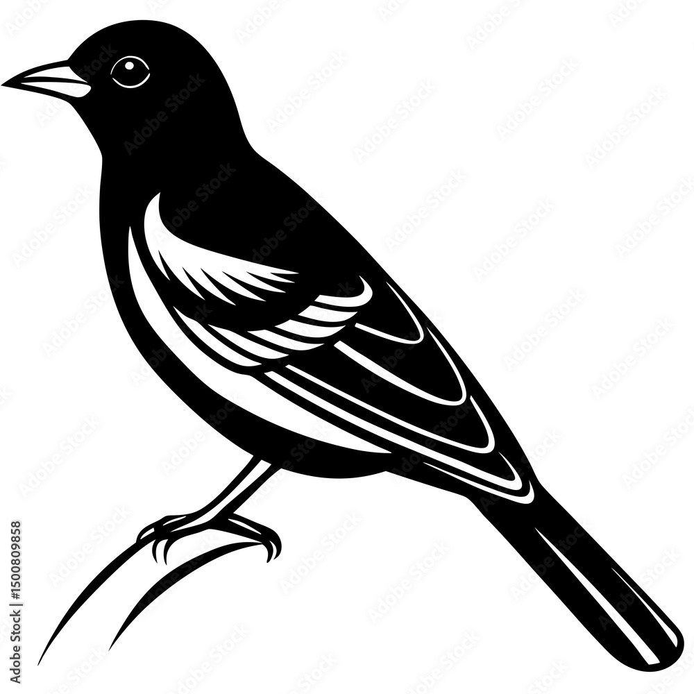 Obraz premium bird on a branch