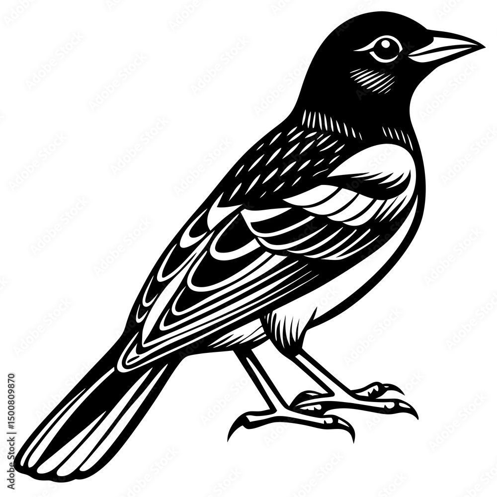 Obraz premium bird on a branch
