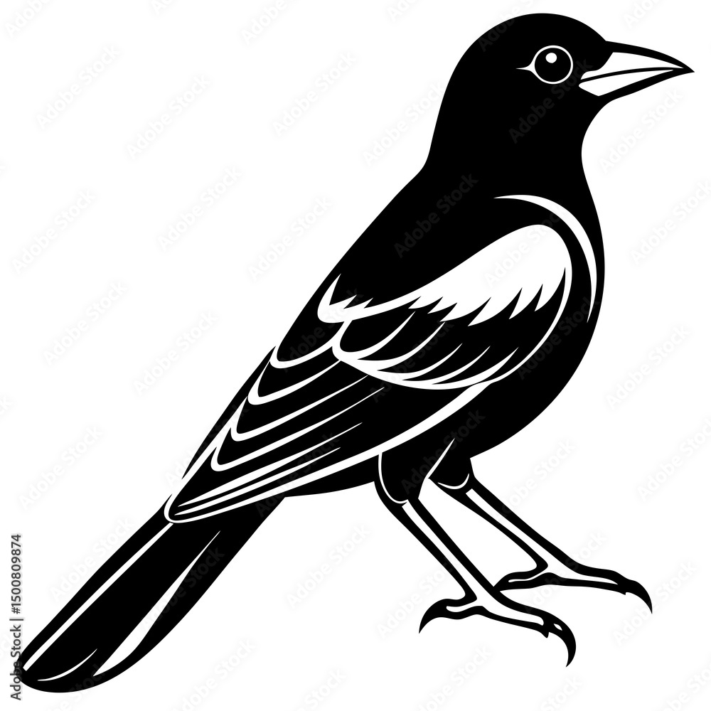 Obraz premium bird on a branch