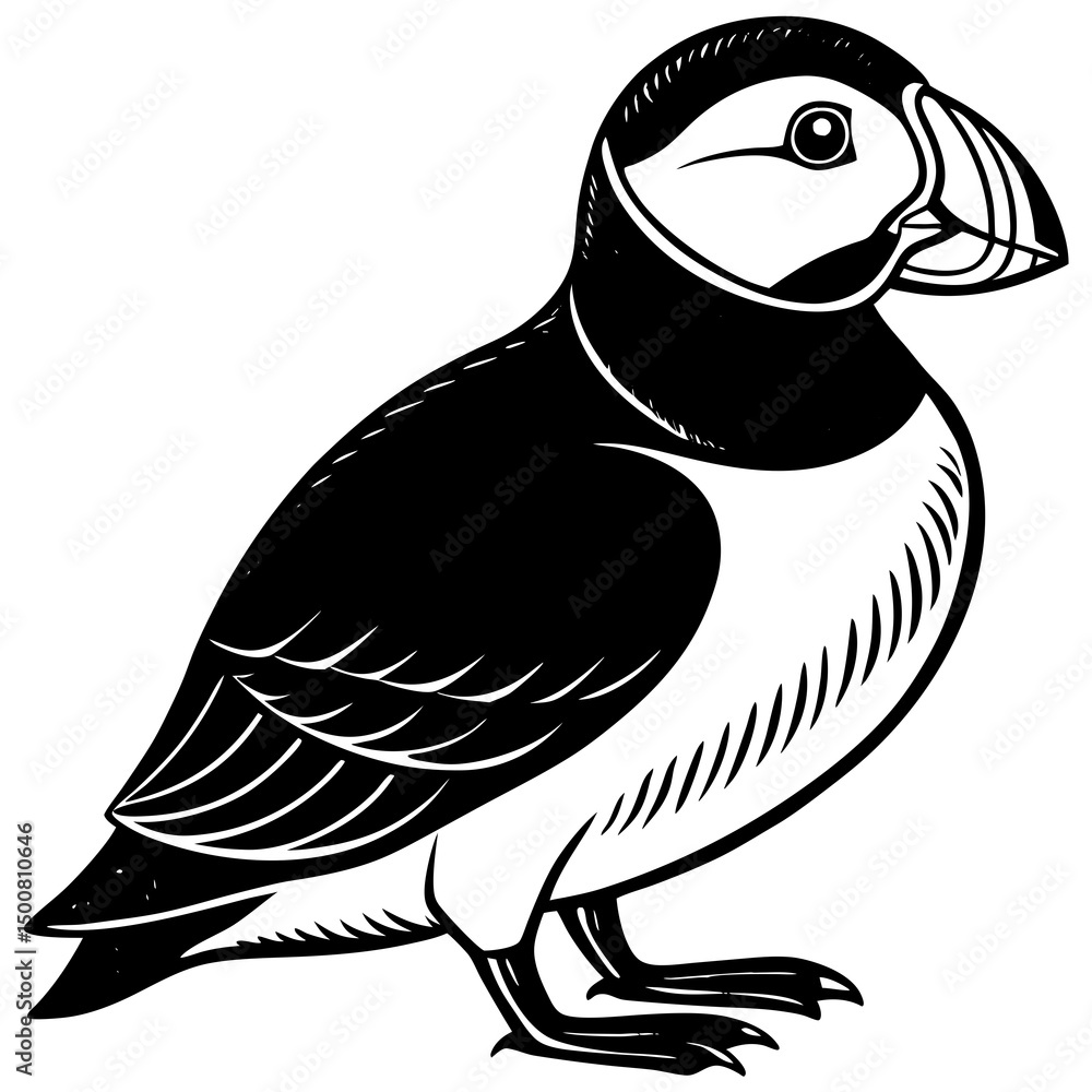 Obraz premium bird on a branch