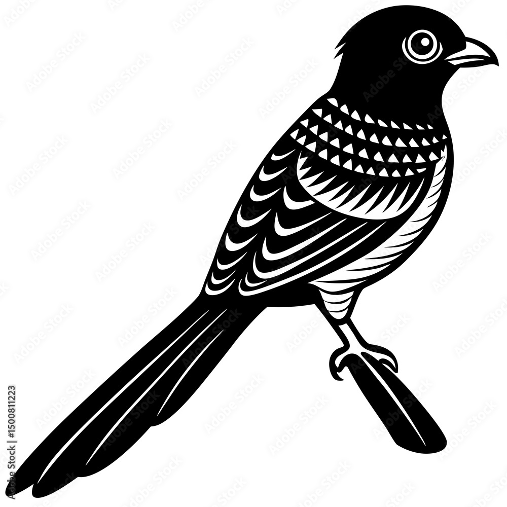 Obraz premium bird on a branch