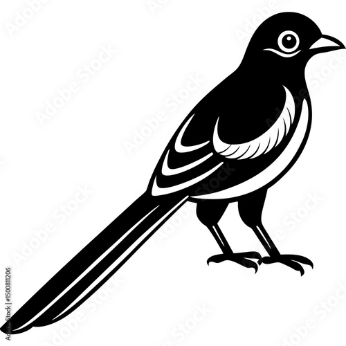 bird on a branch