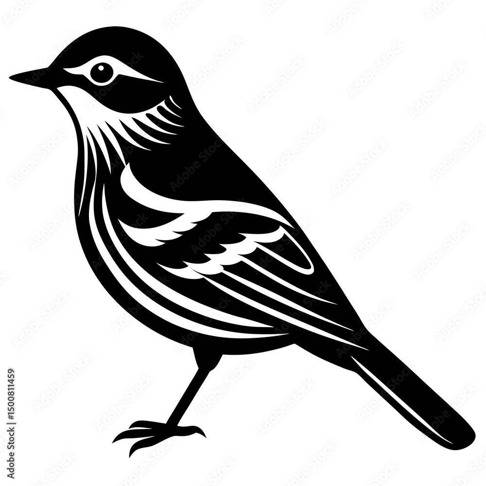 Obraz premium bird on a branch