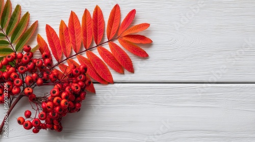 Flat lay top-view autumn scene with leaves and berries on a white background, offering copy space in a natural autumn composition for branding materials.