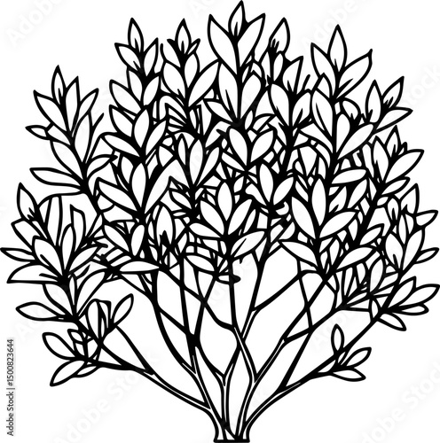  shrub outline vector illustration line art