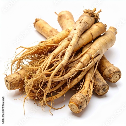 Raw Rehmannia Root Illustration for Herbal Medicine, Raw Rehmannia Root Botanical Art, and Raw Rehmannia Root Natural Remedy Design