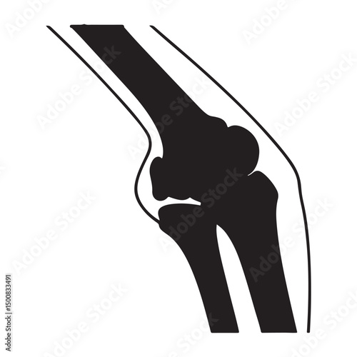 Knee Joint, Human Bone, Articular Cartilage Solid Flat Vector Icon