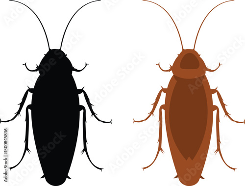 Cockroach view from above. The image of a cockroach in the form of a silhouette and in a cartoon style. Vector illustration..eps
