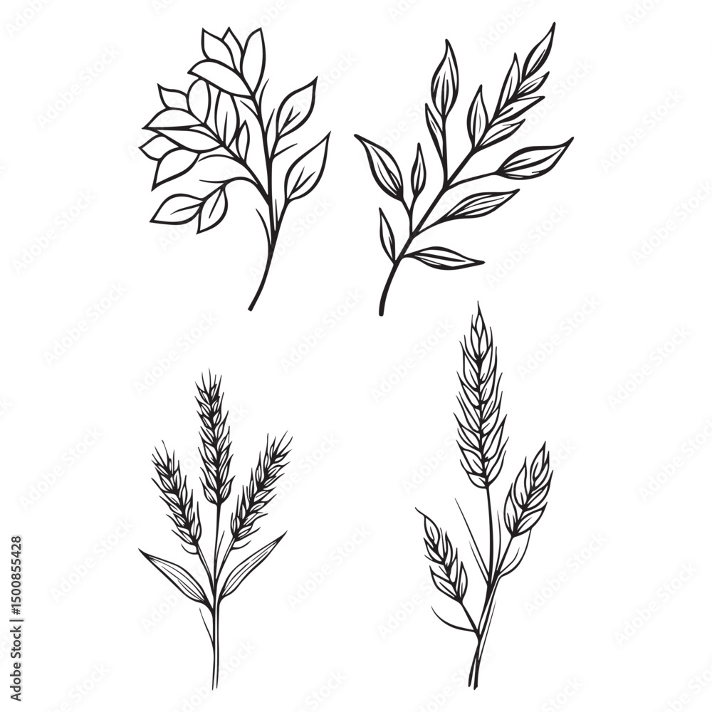 Naklejka premium Hand Drawn Botanical Line Art – Floral and Wheat Plant Vector Set
