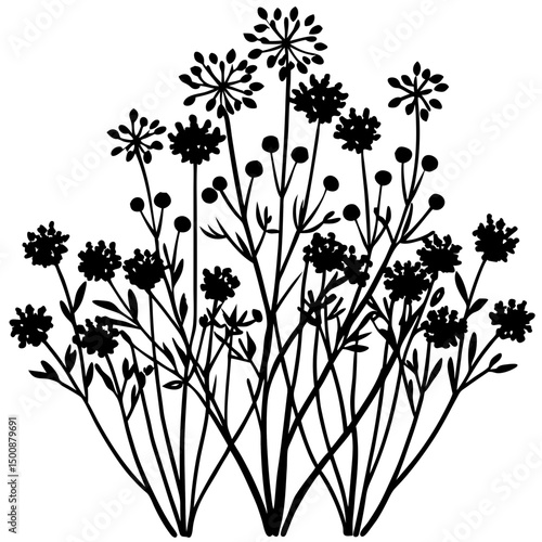 Wildflower Meadow Silhouette Vector on White
