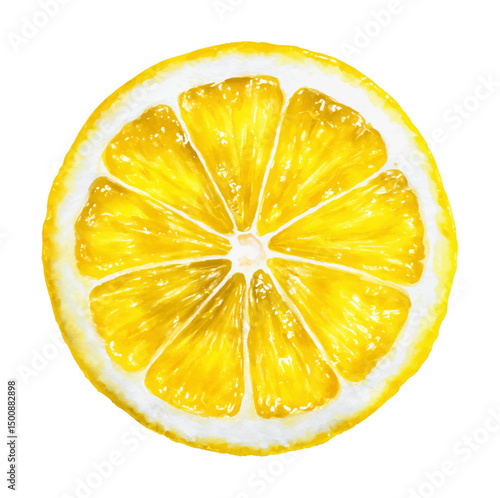 Watercolor painting of a juicy lemon slice showing the fruit with white background