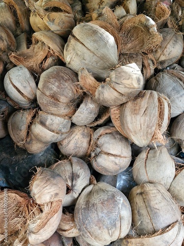 dry peeled coconut skin
