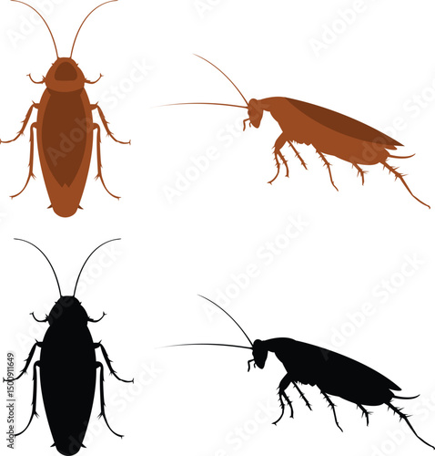 The big set of silhouettes of cockroaches.
