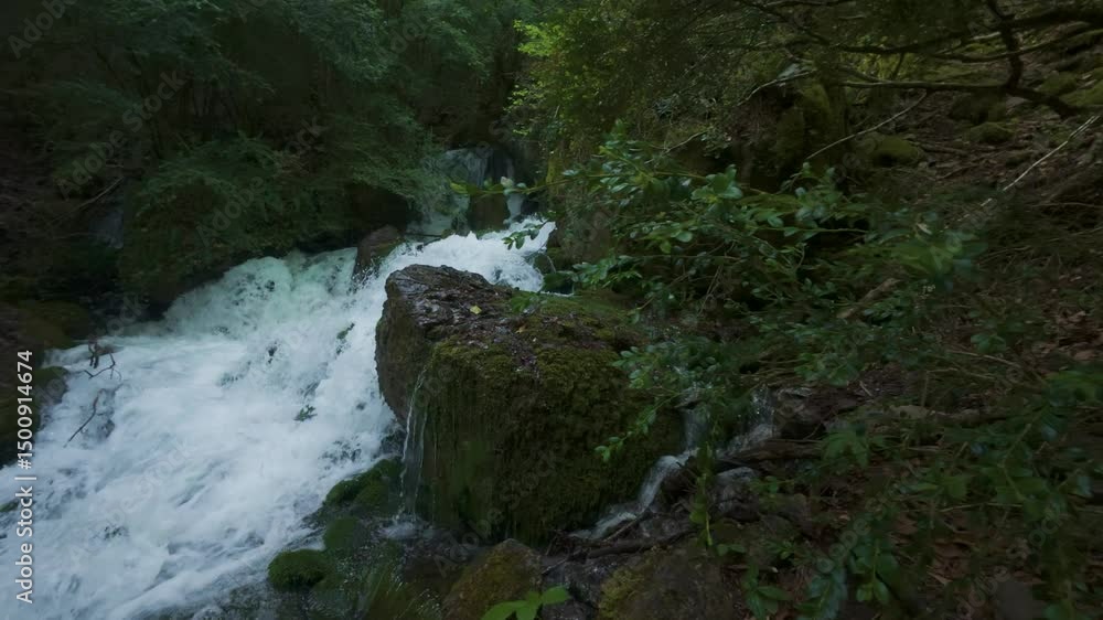 Waterfall among moss and dense vegetation in Badain, Ainsa, Huesca, Aragonese Pyrenees, 4K detailed shot of water flowing in wet forest, high mountain wilderness in springtime
Waterfall among moss and dense vegetation in Badain, Ainsa, Huesca, Aragonese Pyrenees, 4K detailed shot of water flowing in wet forest, high mountain wilderness in springtime
