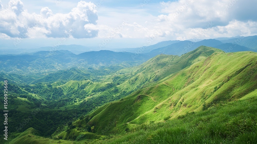Fototapeta premium mountain landscape in the summer