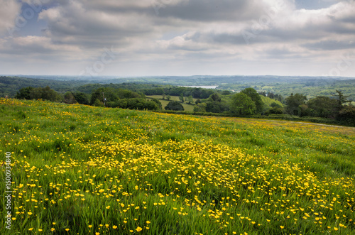 Beautiful views and May buttercups from Darwell hill Brightling on the high weald east Sussex south east England UK