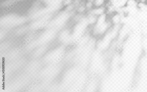 Abstract shadow overlay from tree branch on a transparent background.
