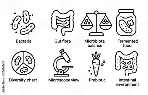 Microbiota balance and gut health concepts with fermented food and prebiotics