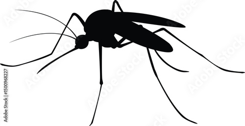 Mosquito-animal-silhouette.-Vector-image.eps