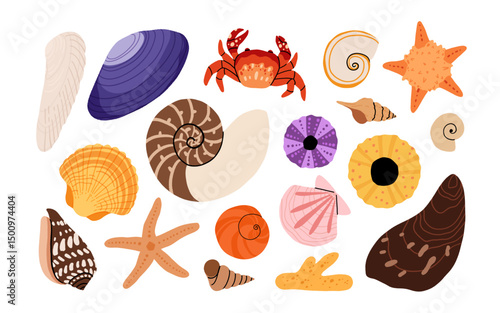 Seashells vector set. Collection of flat, cartoon modern flat icons of molluscs sea shells, starfish, sea urchin, crab, coral. Trendy coral reef under water collection isolated on white