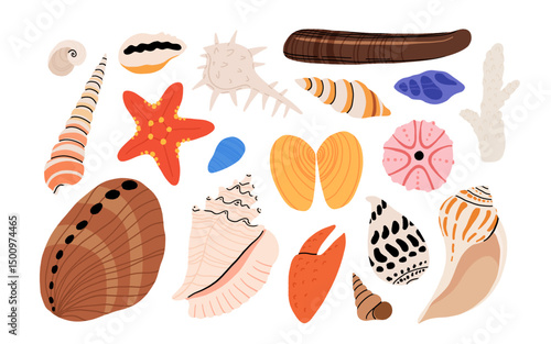 Seashells vector set. Collection of flat, cartoon modern flat icons of molluscs sea shells, starfish, sea urchin, crab, coral. Trendy coral reef under water collection isolated on white