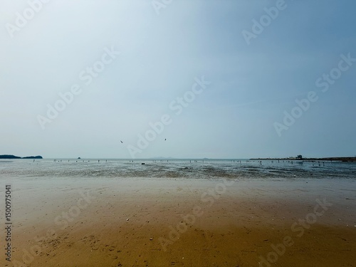 beach and sea