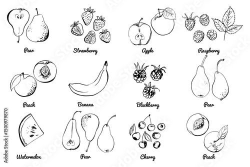 Vegetables fruits food icons set. Vector sketch in ink and watercolor. Apples, pears, grapes, peach