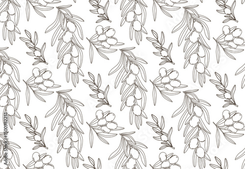 Seamless pattern. Bunch of olives in doodle style, for food and cosmetics packaging, textile design, wrapping paper. Vector illustration of olive branch. Hand drawn