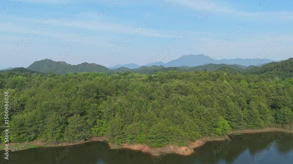 Forest Lake Natural View View Forest Lake Natural View View