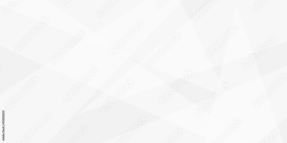 Fototapeta premium Geometry shine and layer element for presentation design.Abstract background with gray background with texture, white abstract modern background. Decorative web layout or poster, banner.design