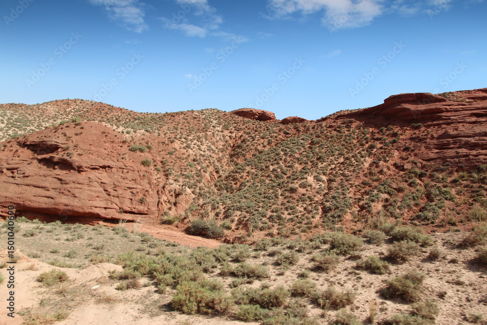 Fototapeta premium Beautiful landscape of Pingshan Hu Grand Canyon in summer, Zhangye City, Gansu Province in China