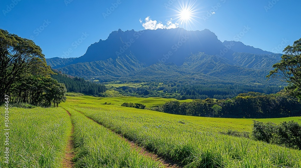 Obraz premium Sunny mountain landscape with green field and trees under a bright blue sky