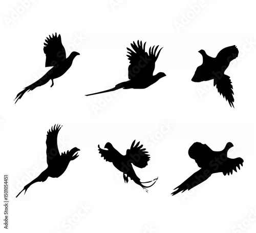 Flying Pheasants - Black Silh...