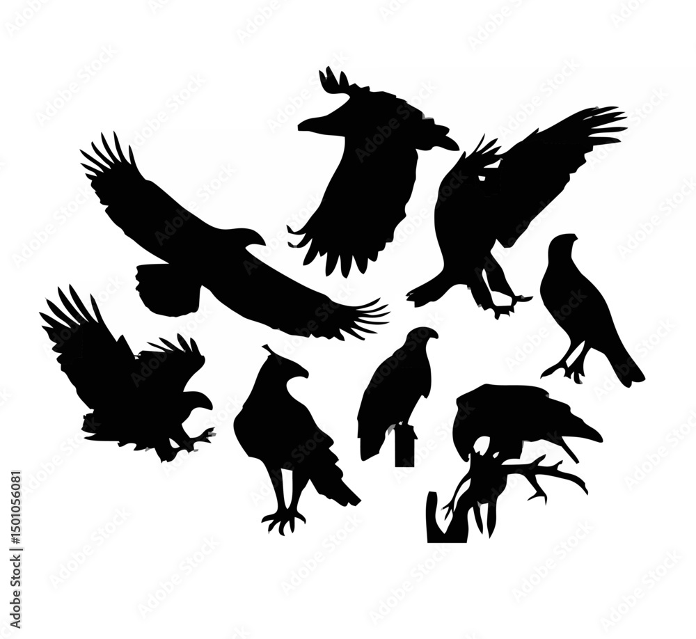 Eagle bird silhouettes vector... Eagle bird silhouettes vector...