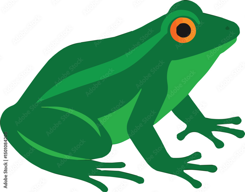 Fototapeta premium frog on white background