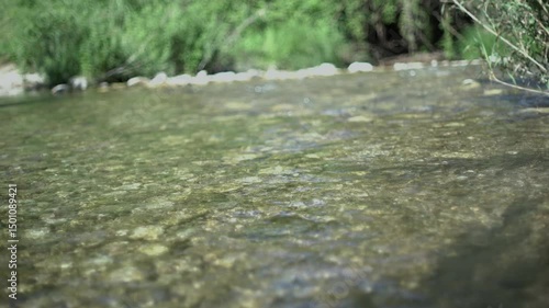 Water rolling at the river in the forest
