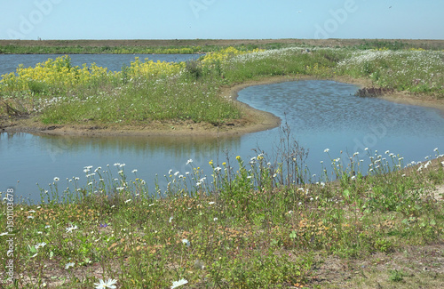 Netherlands. Spring on the islands of the Markerwadden