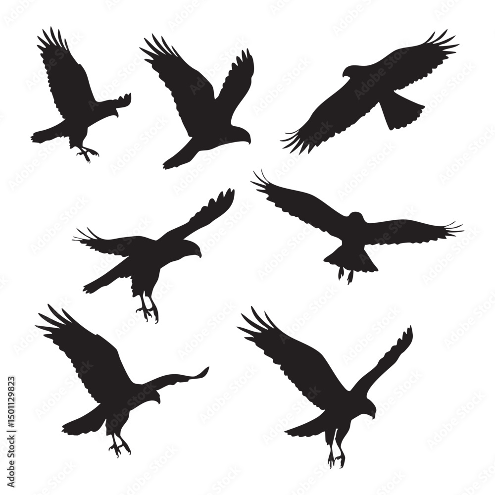 Obraz premium Silhouette set of hawk on white background